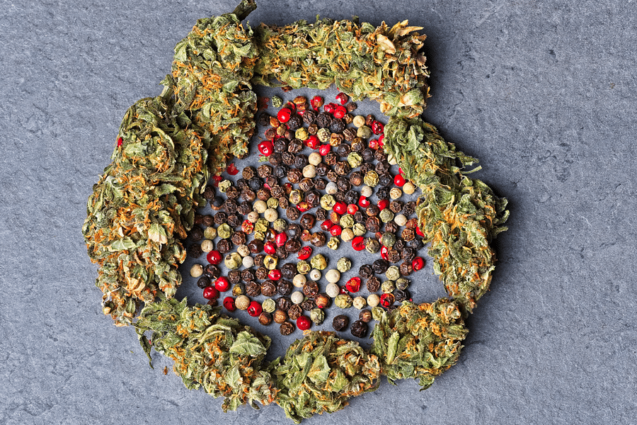 Caryophyllene terpene