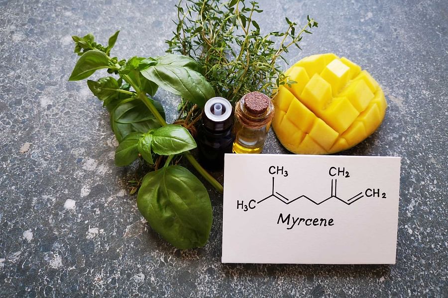 Myrcene terpene profile