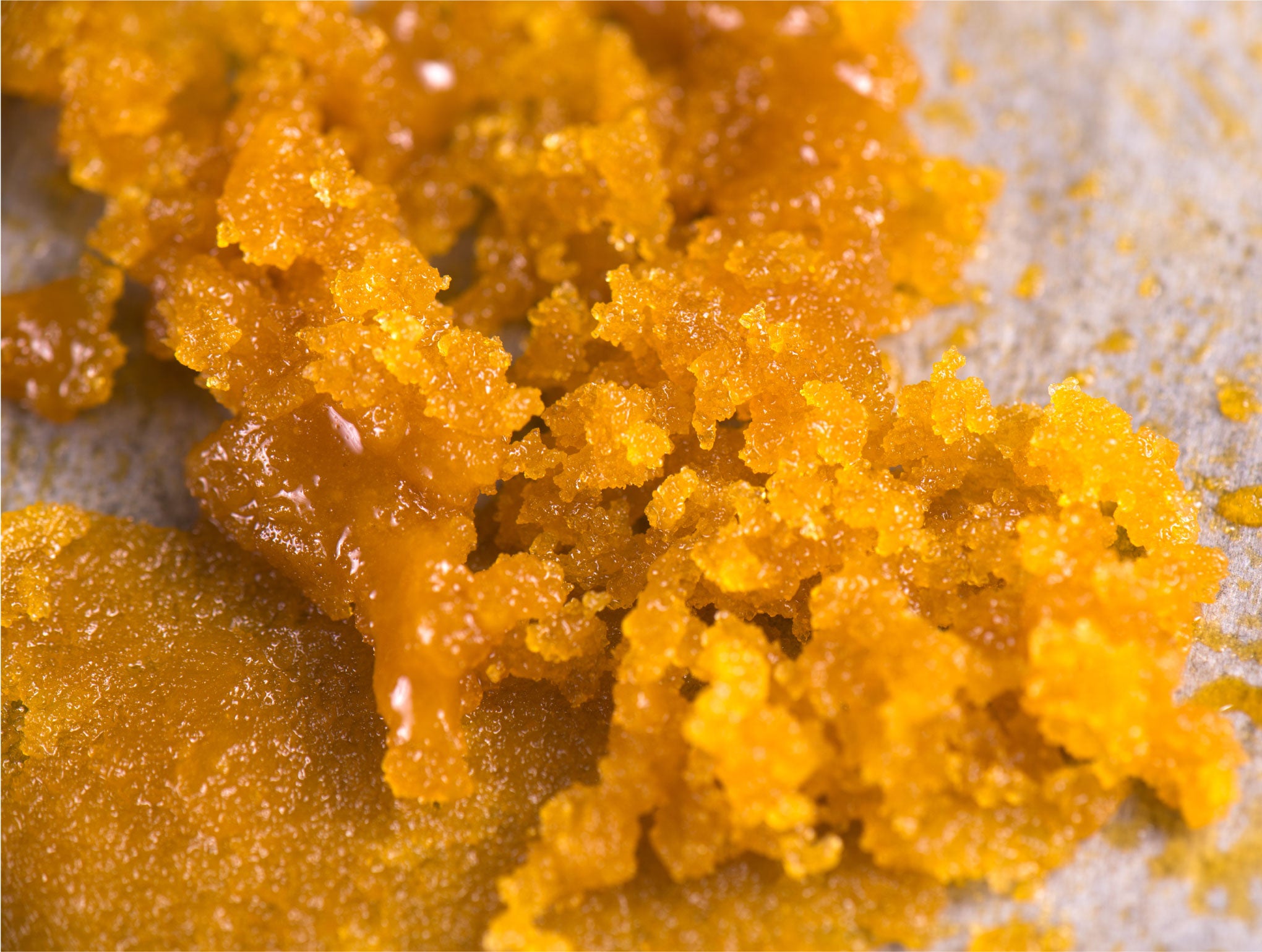 cannabis wax concentrate
