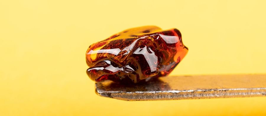 Close-up view of dabs weed, a form of cannabis concentrate