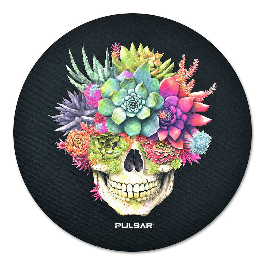 From Sand Dabs to Diamond Dabs Navigating the Spectrum of Dab Varieties