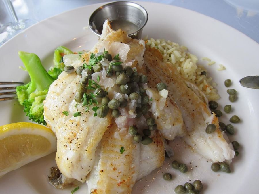 Sand Dabs 101 What They Are and How to Use Them in Your Dabbing Routine