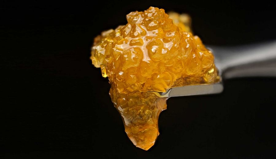 Close-up view of cannabis concentrate, also known as a dab