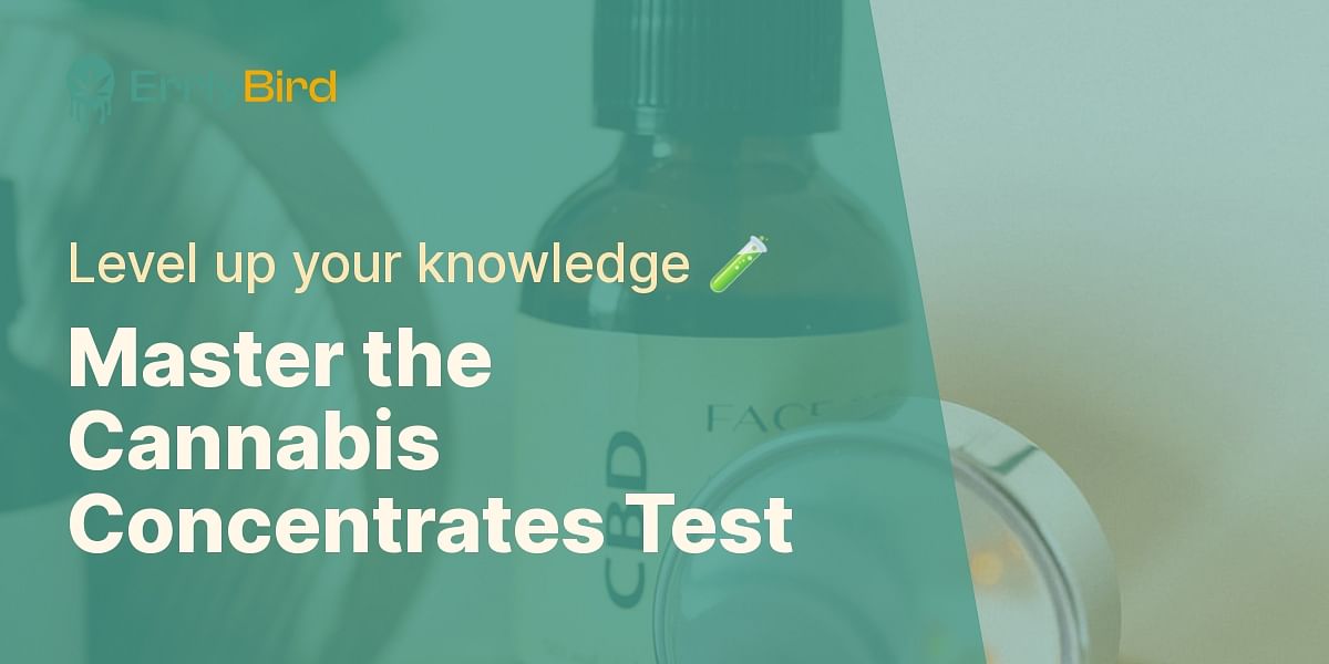 Test Your Knowledge on Cannabis Concentrates Errly Bird
