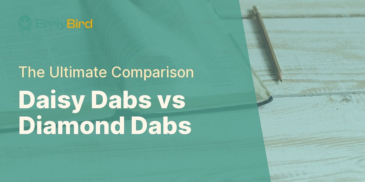 Daisy Dabs vs Diamond Dabs: A Comparative Study | Errly Bird