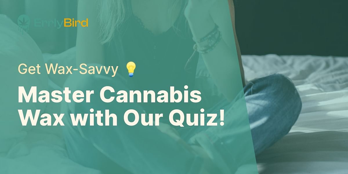 Managing and Using Cannabis Wax Test Your Knowledge with Our