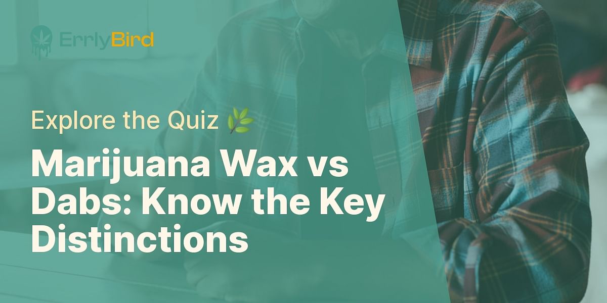 Marijuana Wax vs Dabs What's the Difference? Take the Quiz!