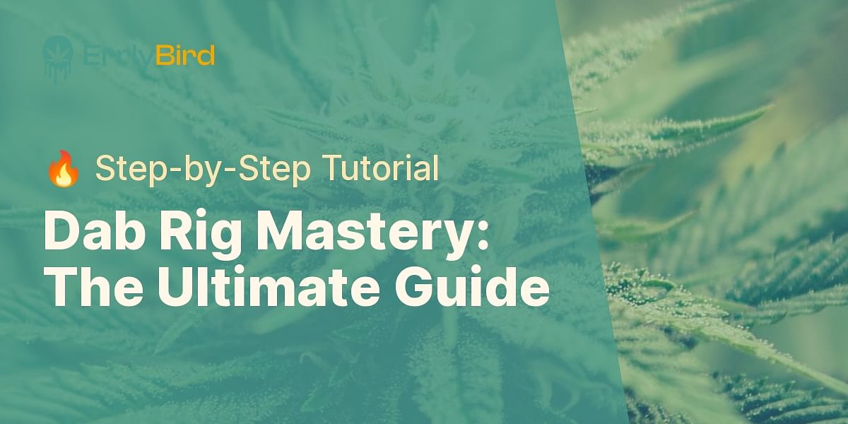 Mastering The Dab Rig A Step By Step Guide Errly Bird