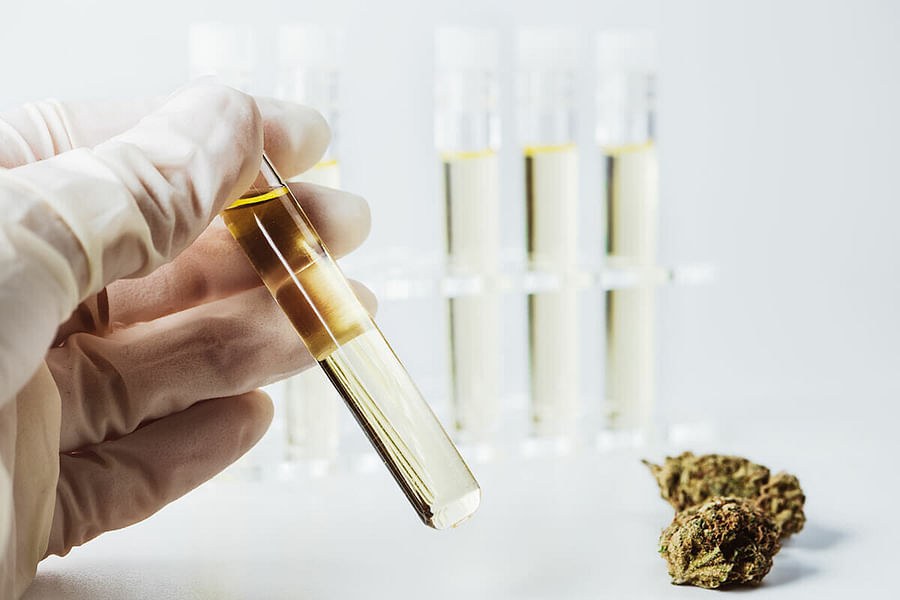 Lab test results for cannabis concentrate product